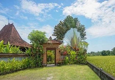 Rumah Sungai Villa Ubud Exteriér fotografie