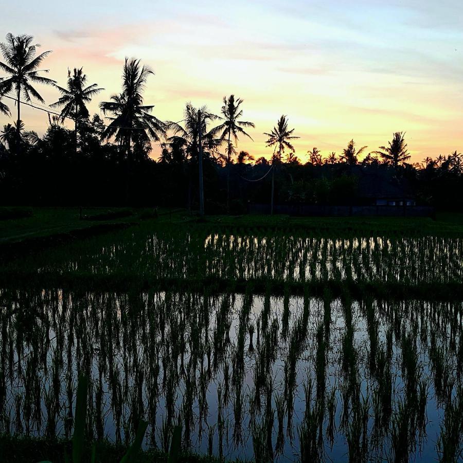 Rumah Sungai Villa Ubud Exteriér fotografie