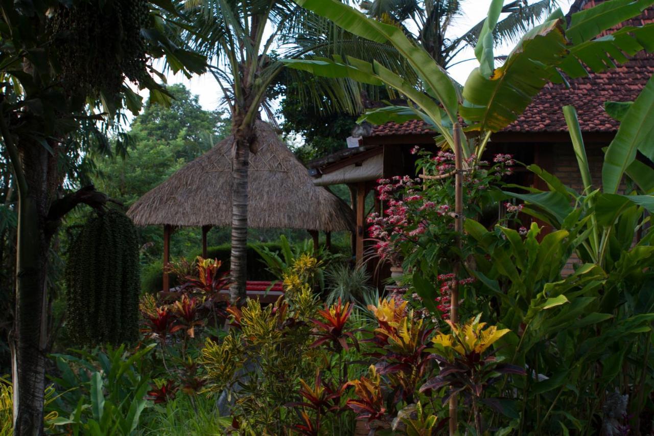 Rumah Sungai Villa Ubud Exteriér fotografie