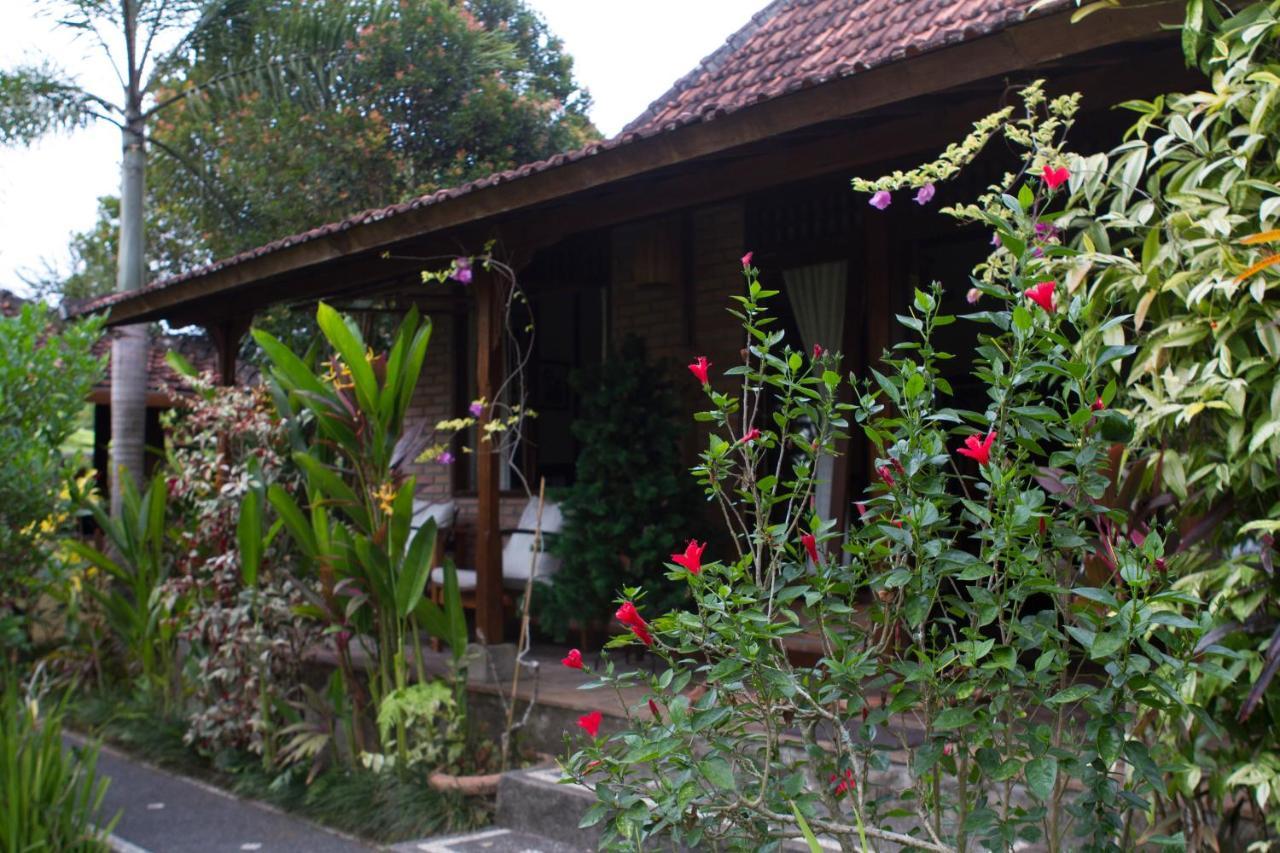 Rumah Sungai Villa Ubud Exteriér fotografie