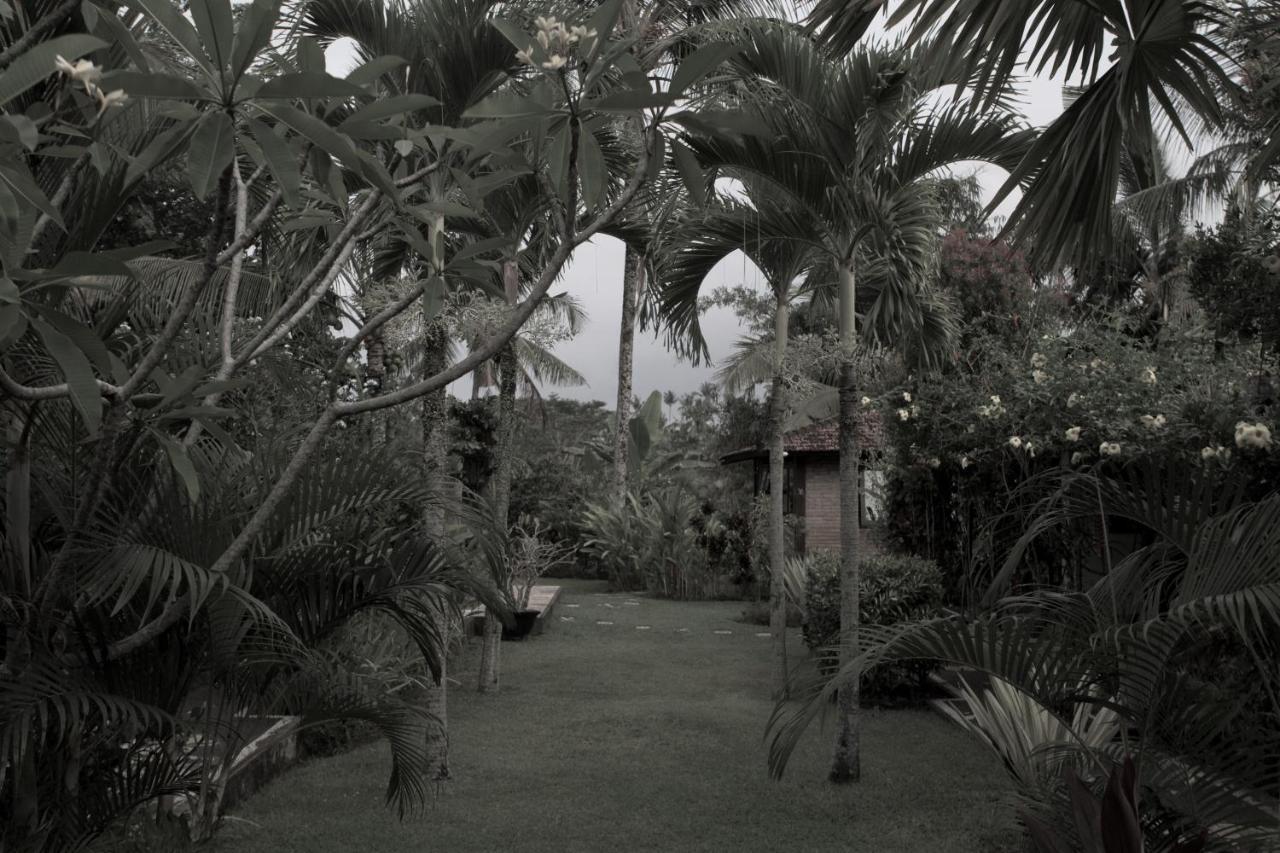 Rumah Sungai Villa Ubud Exteriér fotografie