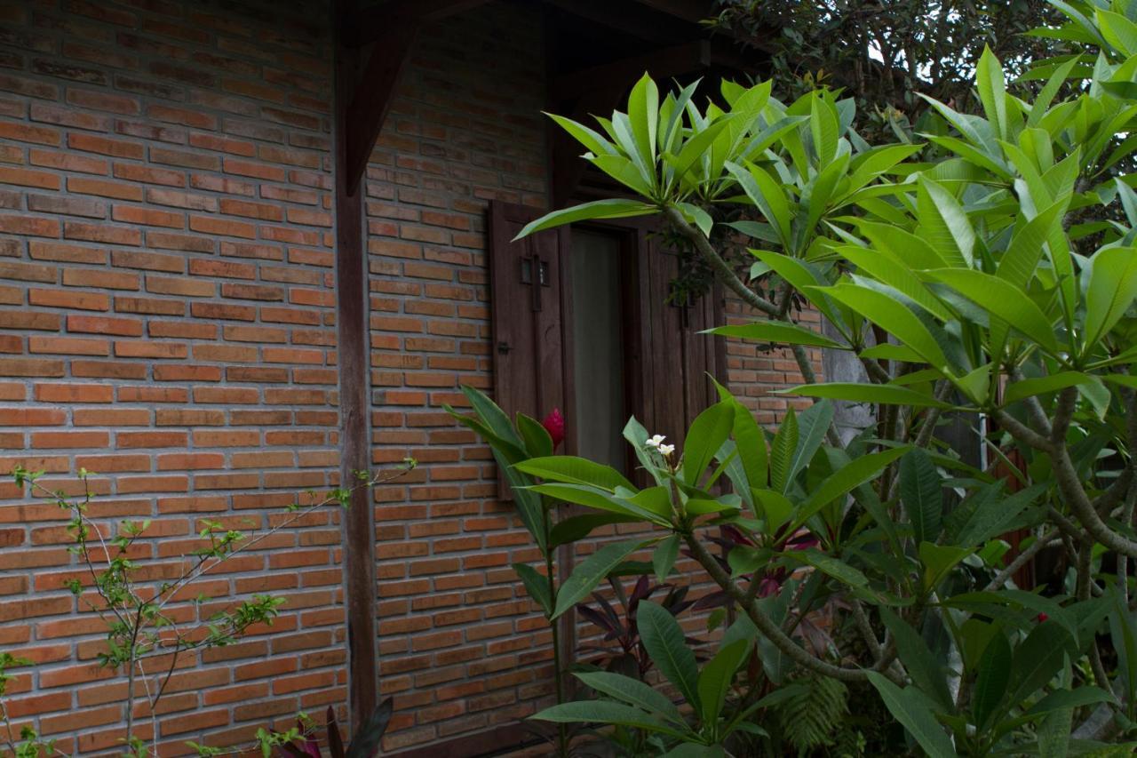 Rumah Sungai Villa Ubud Exteriér fotografie