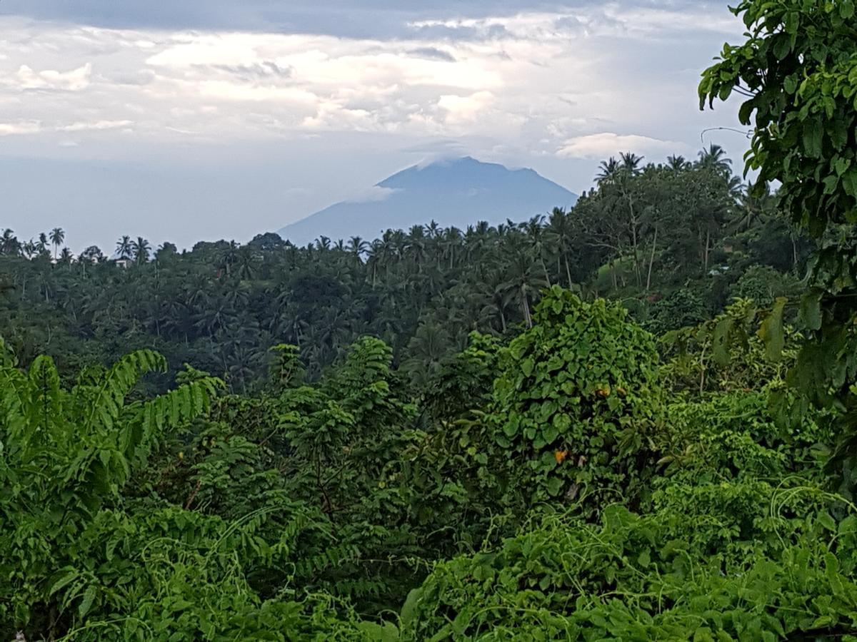 Rumah Sungai Villa Ubud Exteriér fotografie