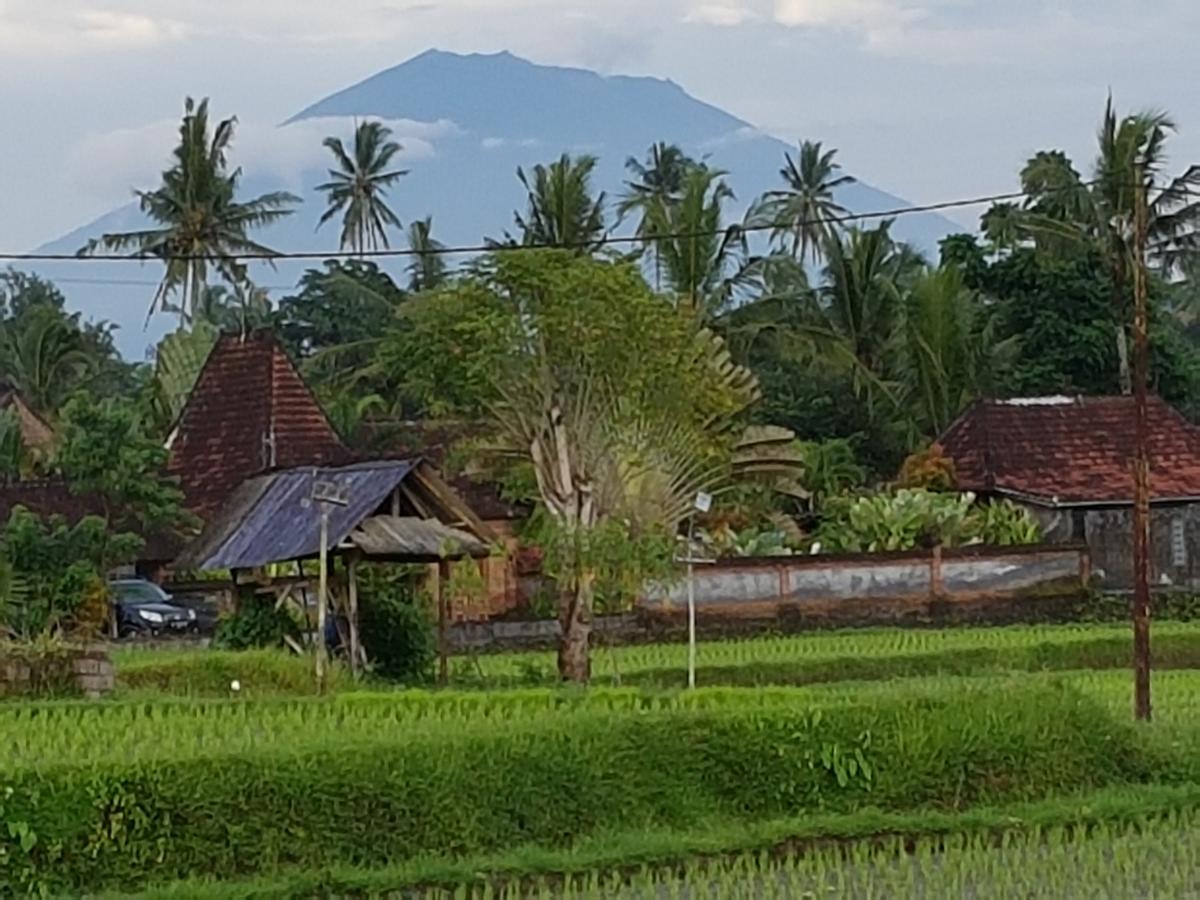 Rumah Sungai Villa Ubud Exteriér fotografie