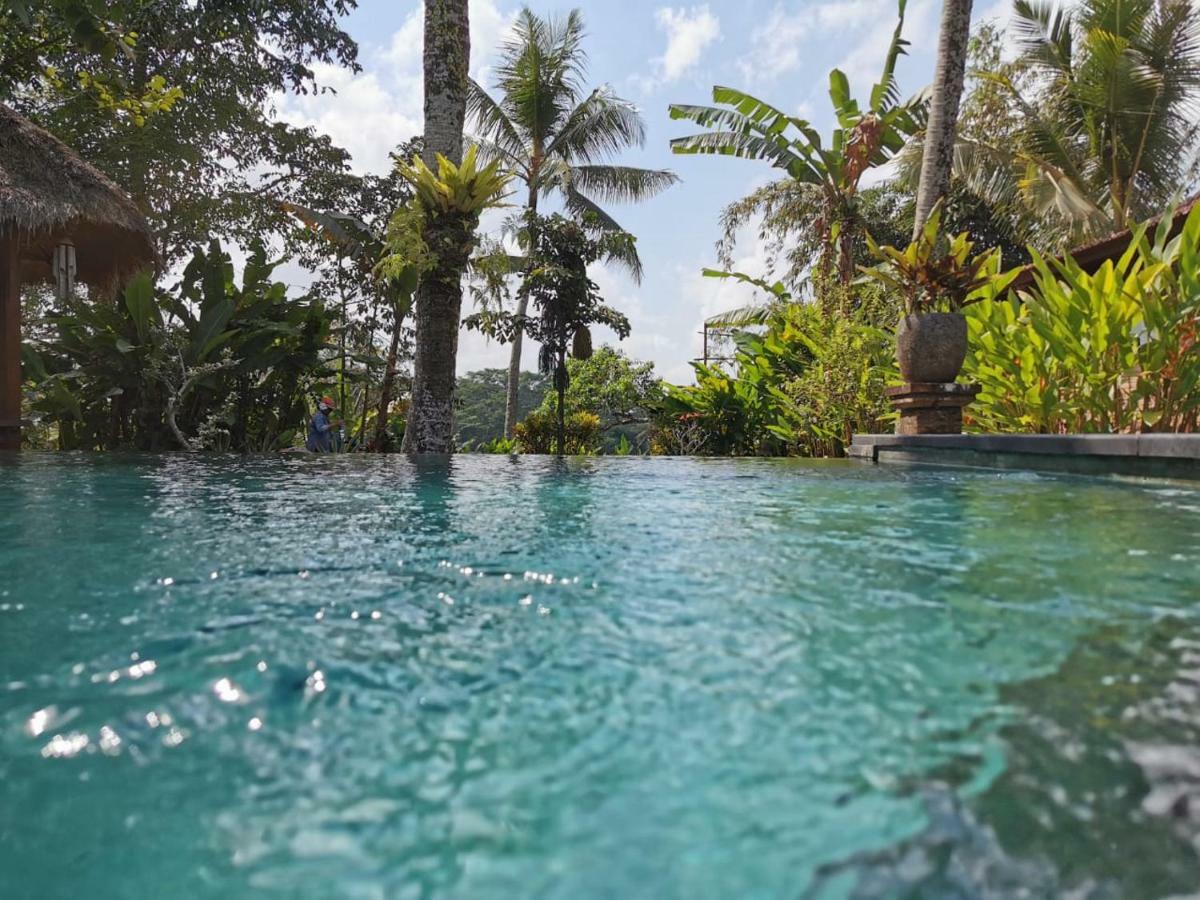 Rumah Sungai Villa Ubud Exteriér fotografie