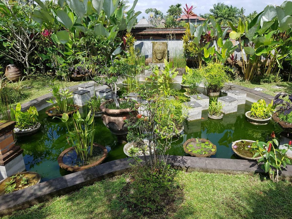 Rumah Sungai Villa Ubud Exteriér fotografie