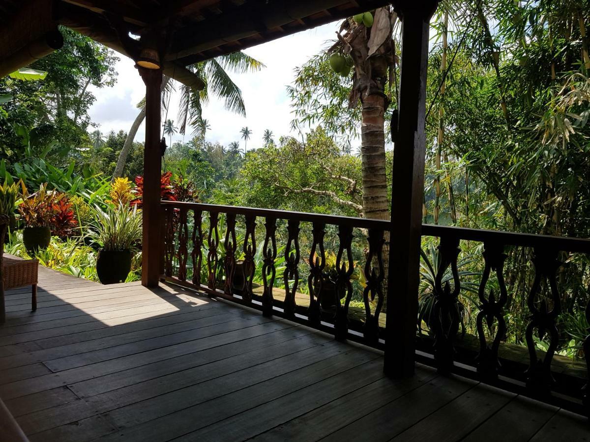 Rumah Sungai Villa Ubud Exteriér fotografie