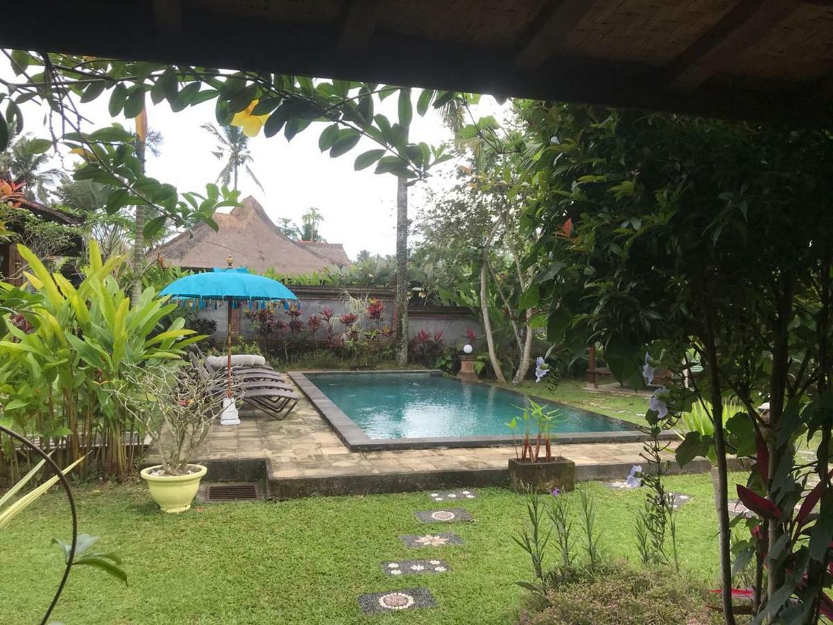 Rumah Sungai Villa Ubud Exteriér fotografie